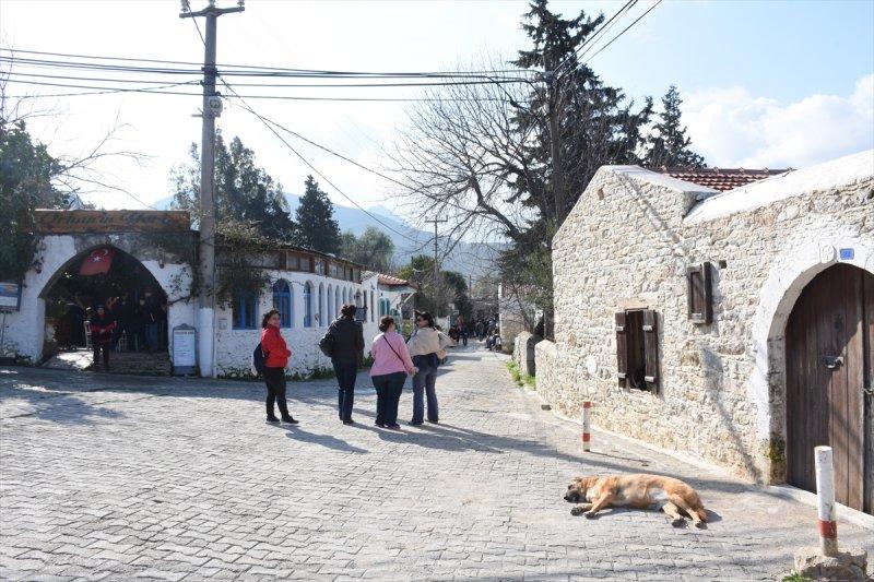 Badem Çiçeği Festivali'ne yerli turist akını