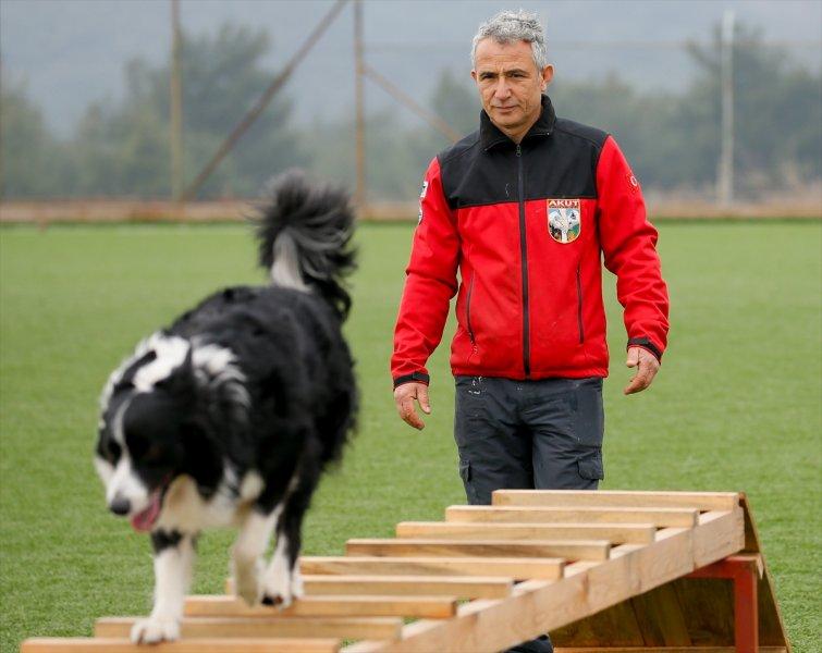 Arama kurtarma köpeklerinin sınav telaşı
