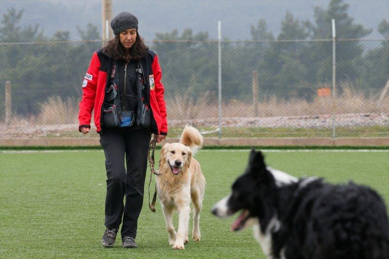 Arama kurtarma köpeklerinin sınav telaşı