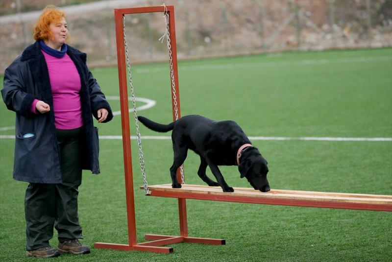 Arama kurtarma köpeklerinin sınav telaşı