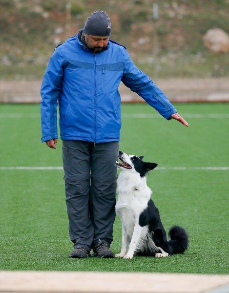 Arama kurtarma köpeklerinin sınav telaşı