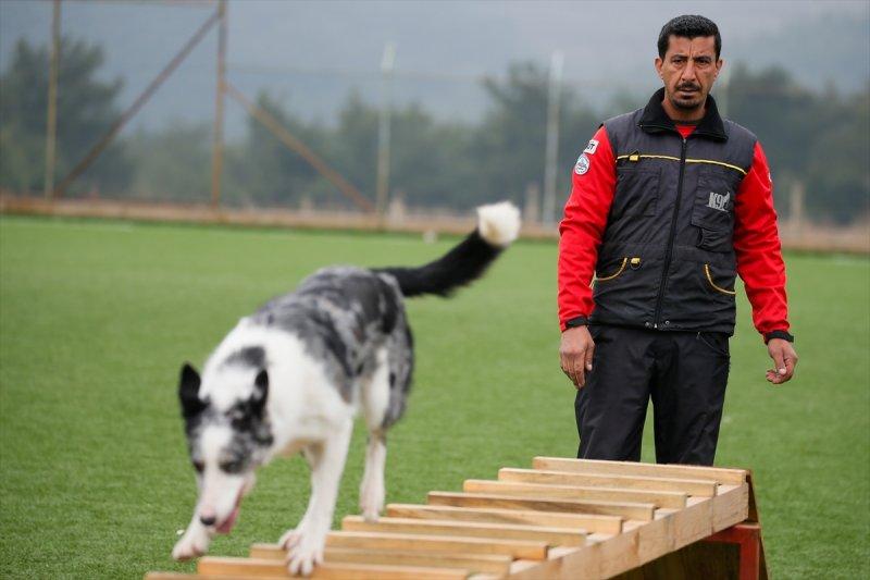 Arama kurtarma köpeklerinin sınav telaşı