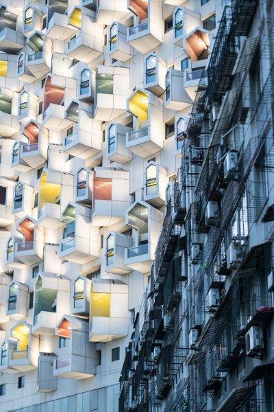 Sony Dünya Fotoğraf Yarışması’nın kazananları