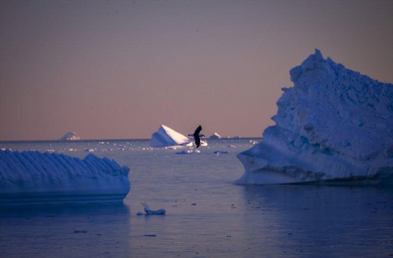 Kaşiflerin gözde noktası beyaz kıta Antarktika 