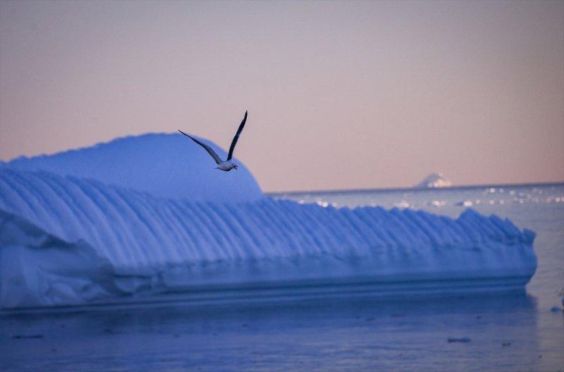 Kaşiflerin gözde noktası beyaz kıta Antarktika 