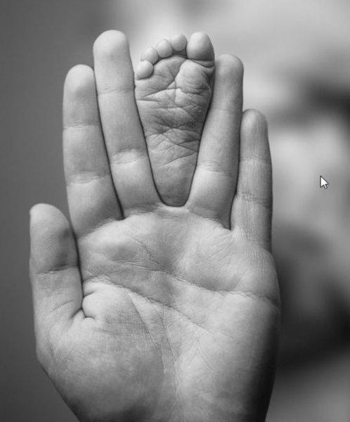 Yeni doğan bebek resimleri