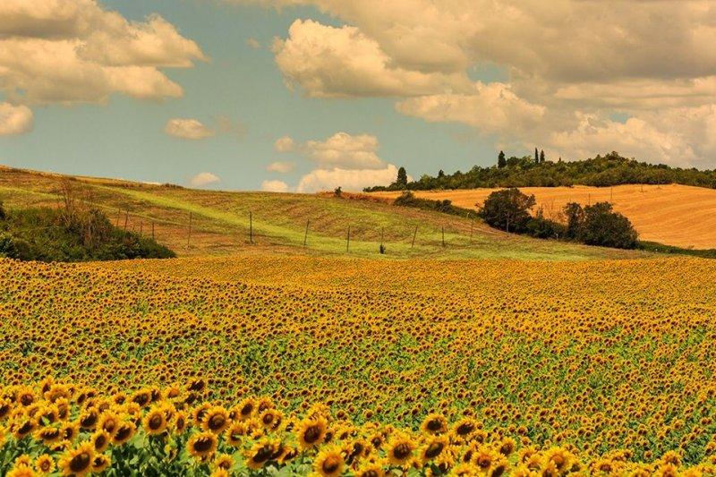 ilkbahar gezi rotaları belirlendi 