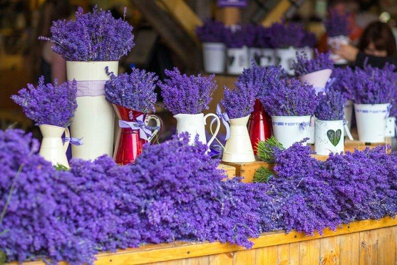 ilkbahar gezi rotaları belirlendi 