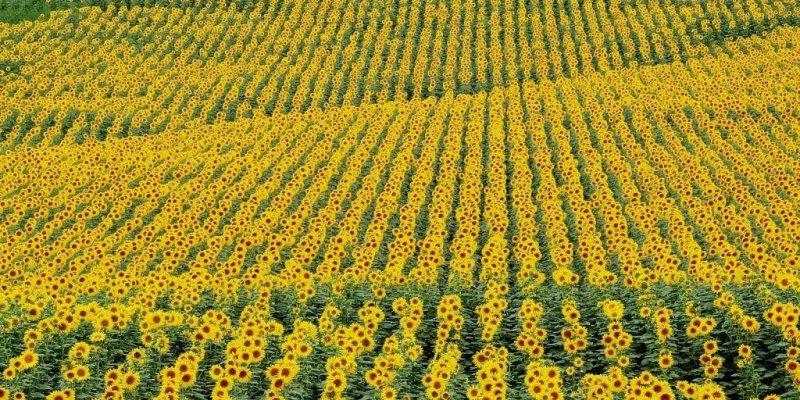 ilkbahar gezi rotaları belirlendi 
