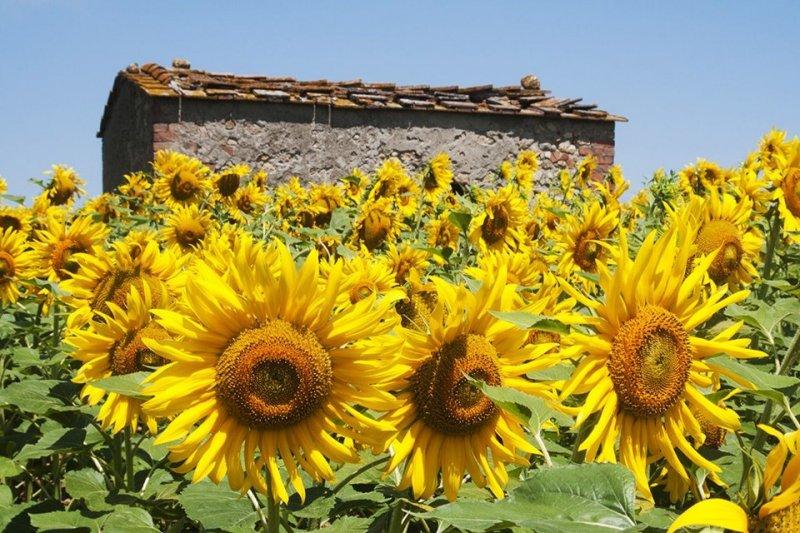 ilkbahar gezi rotaları belirlendi 