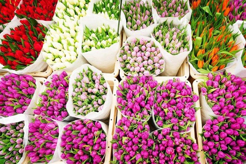 ilkbahar gezi rotaları belirlendi 