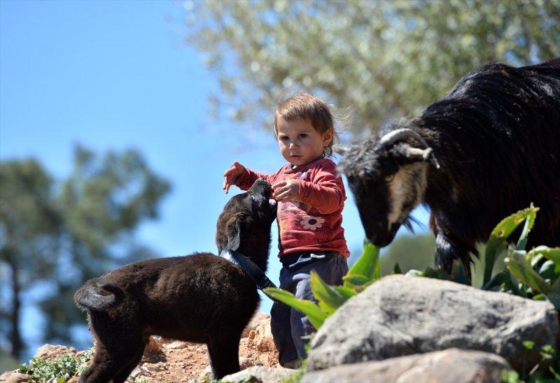 Mersin Silifke'de Yörüklerin günlük yaşamı