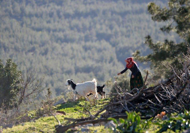 Mersin Silifke'de Yörüklerin günlük yaşamı
