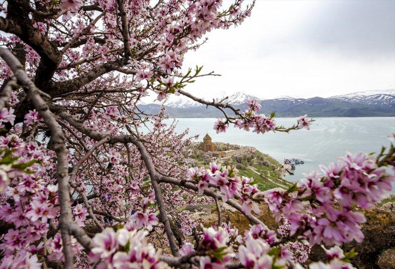 Akdamar Adası'nda ilkbahar