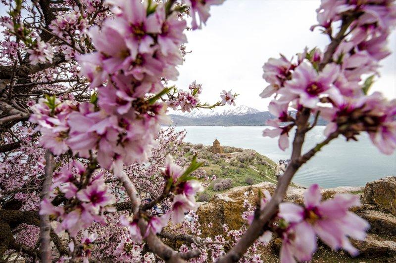 Akdamar Adası'nda ilkbahar