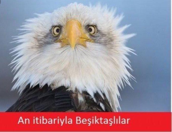 Galatasaray-Beşiktaş derbisinin capsleri