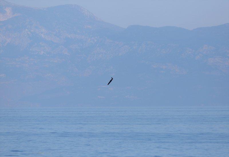 TSK'dan 3 denizde Denizkurdu 2019 Tatbikatı