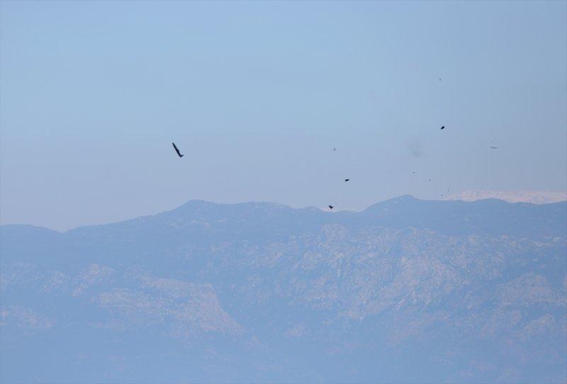 TSK'dan 3 denizde Denizkurdu 2019 Tatbikatı