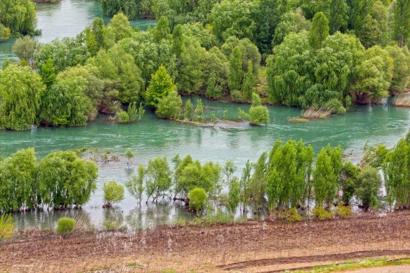 Dicle Nehri 30 yıl sonra tertemiz
