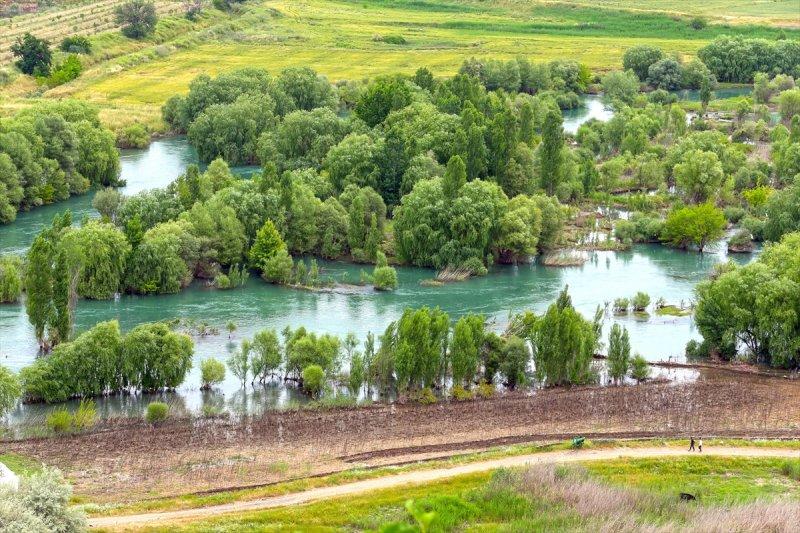 Dicle Nehri 30 yıl sonra tertemiz