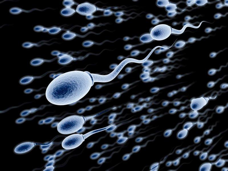 Sperm kalitesini artıran besinler