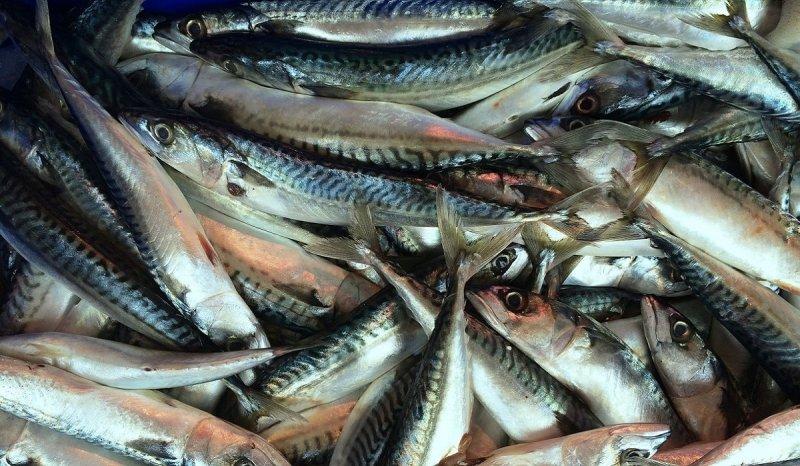 Sperm kalitesini artıran besinler