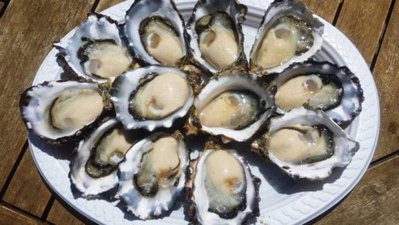 Sperm kalitesini artıran besinler