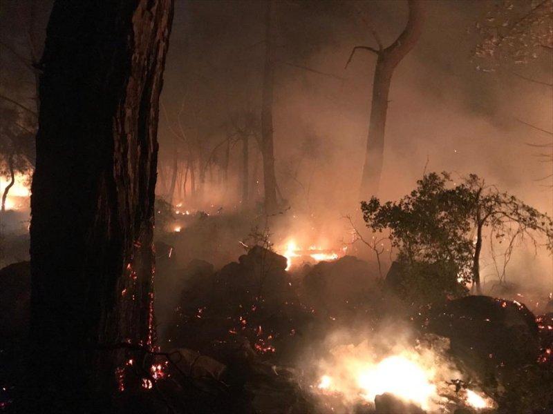 Muğla'da orman yangını 18 saat sonra söndürüldü