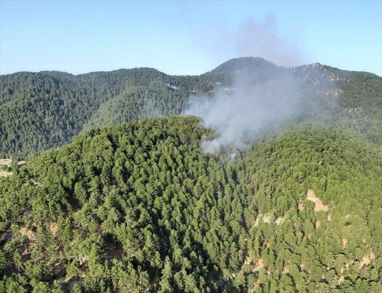 Muğla'da orman yangını 18 saat sonra söndürüldü