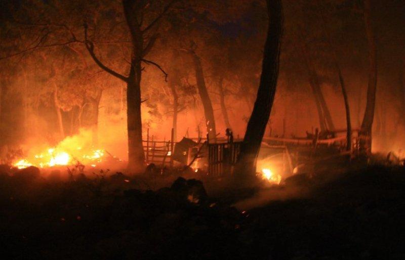 Muğla'da orman yangını 18 saat sonra söndürüldü