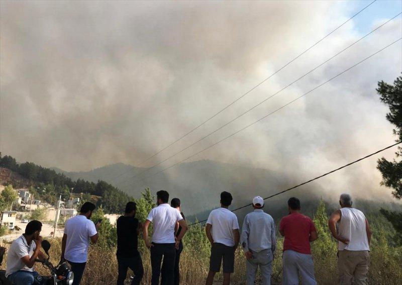 Muğla'da orman yangını 18 saat sonra söndürüldü