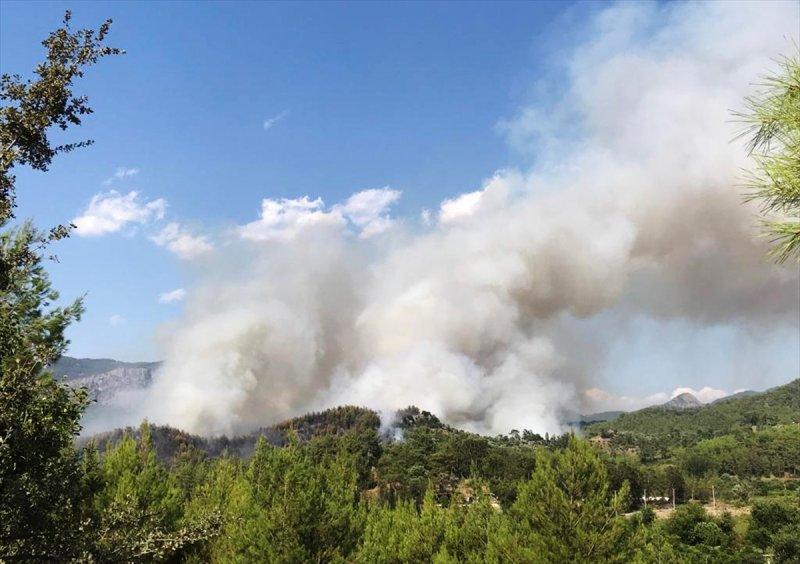 Muğla'da orman yangını 18 saat sonra söndürüldü