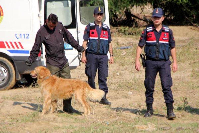 Düzce'de sel felaketi