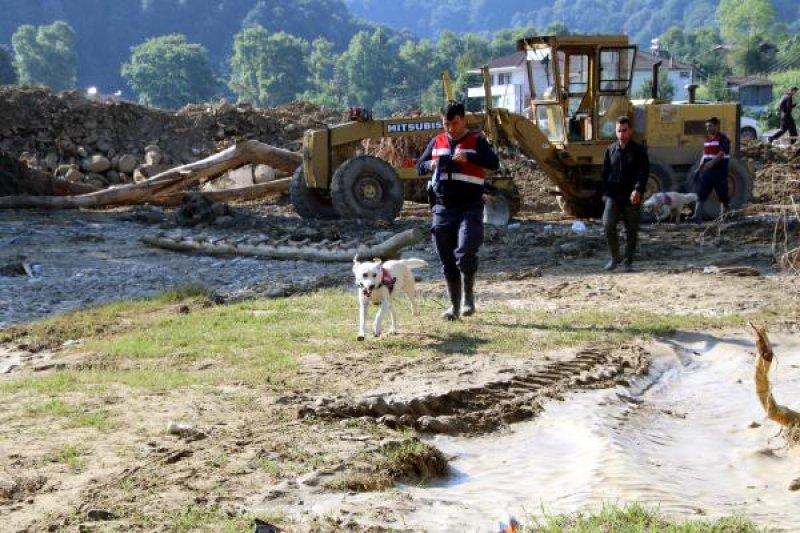 Düzce'de sel felaketi