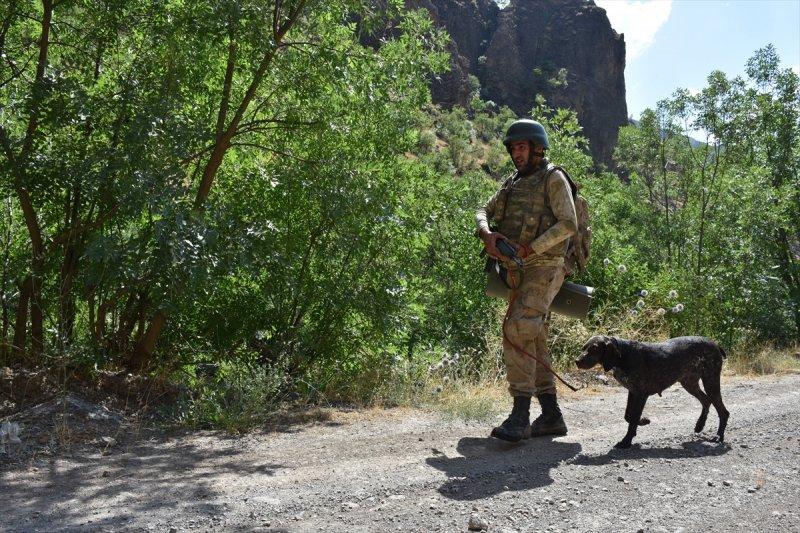 Mağarada teröristlere ait 5 ton yaşam malzemesi bulundu