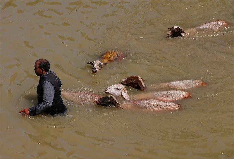846. Sudan Koyun Geçirme Yarışması