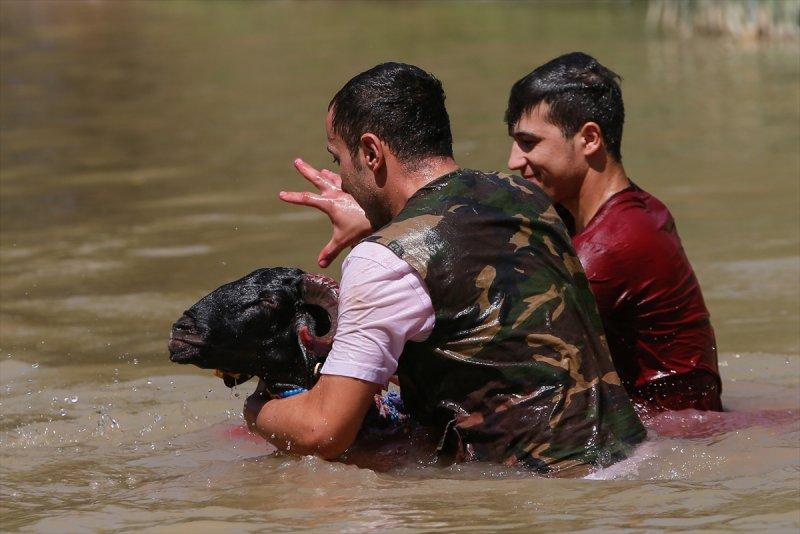 846. Sudan Koyun Geçirme Yarışması