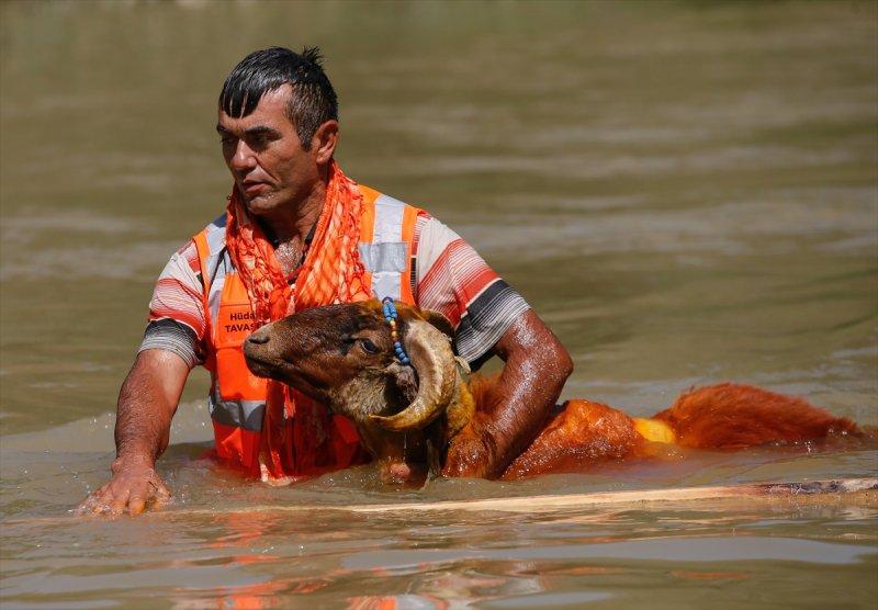 846. Sudan Koyun Geçirme Yarışması