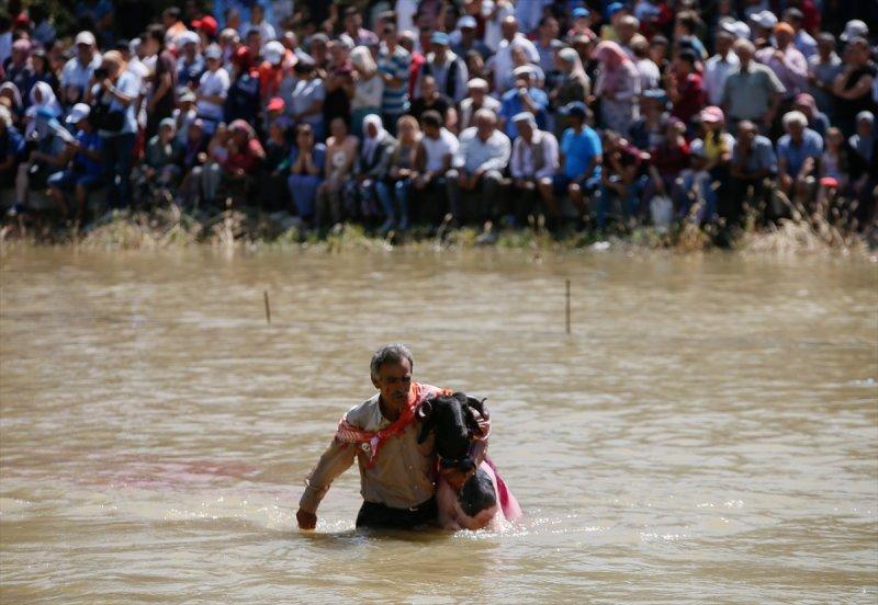 846. Sudan Koyun Geçirme Yarışması
