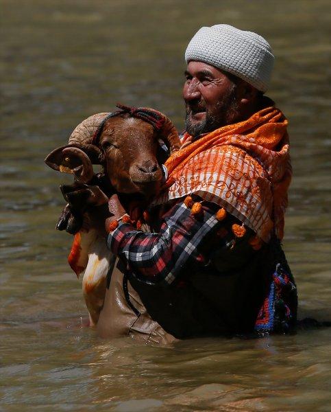 846. Sudan Koyun Geçirme Yarışması