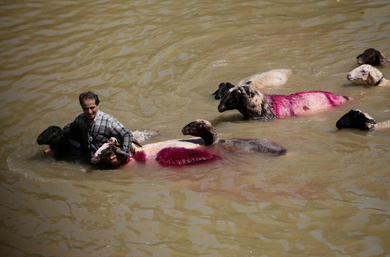 846. Sudan Koyun Geçirme Yarışması