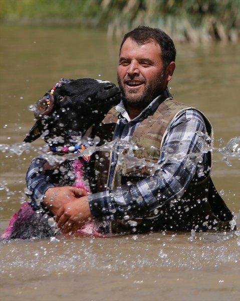 846. Sudan Koyun Geçirme Yarışması