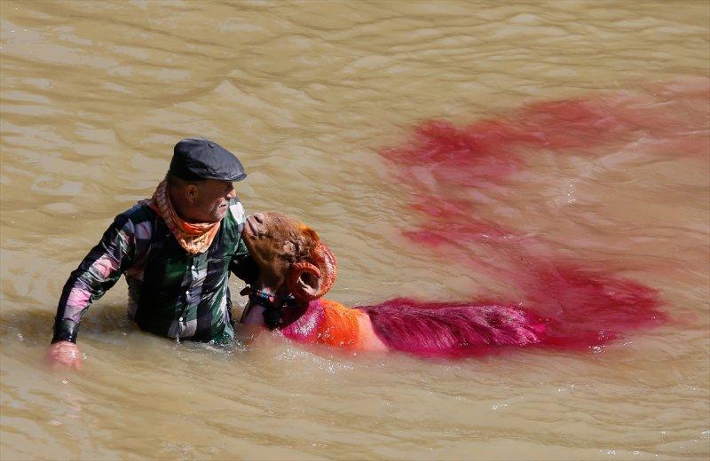 846. Sudan Koyun Geçirme Yarışması