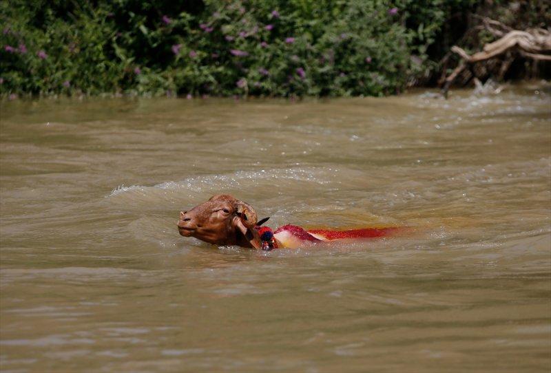 846. Sudan Koyun Geçirme Yarışması