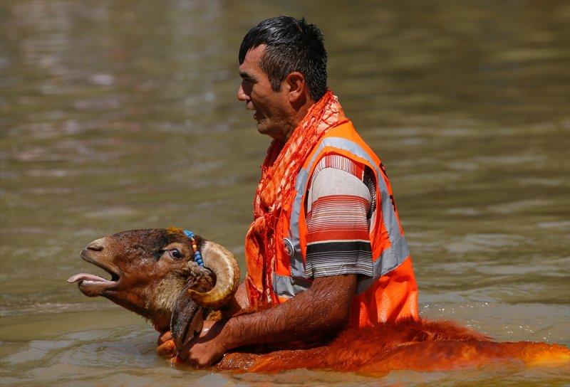 846. Sudan Koyun Geçirme Yarışması