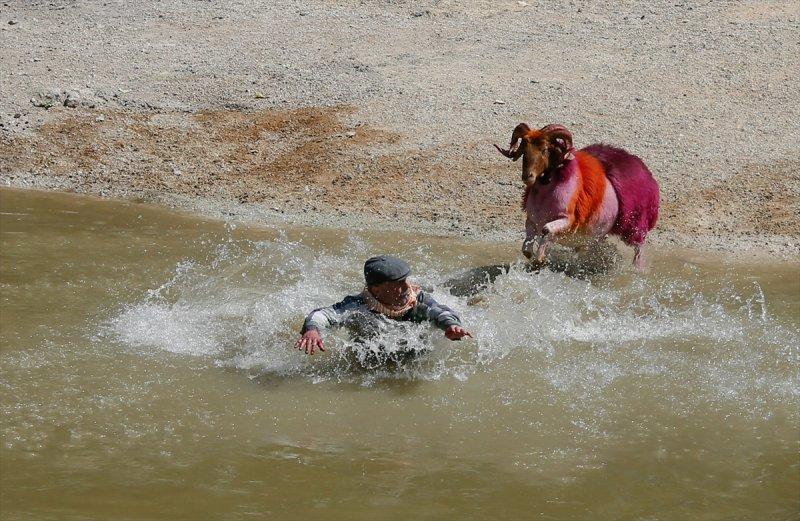 846. Sudan Koyun Geçirme Yarışması