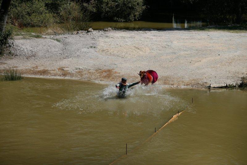 846. Sudan Koyun Geçirme Yarışması