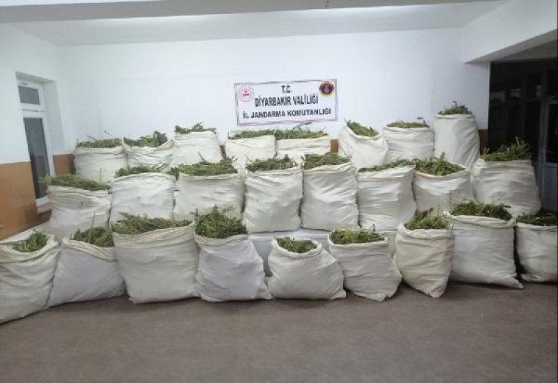 Diyarbakır'da 6 milyon kök Hint keneviri ele geçirildi