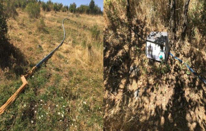 Diyarbakır'da 6 milyon kök Hint keneviri ele geçirildi