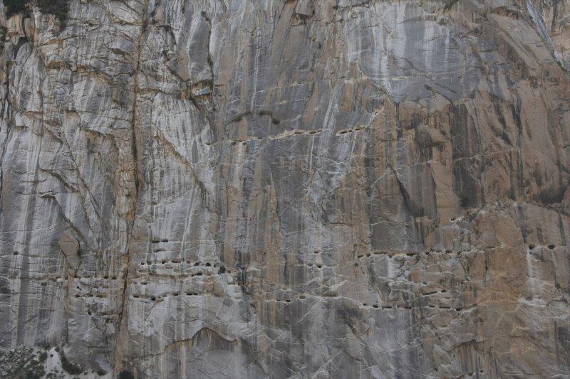 Dünyanın en yüksek savaş alanı: Siachen